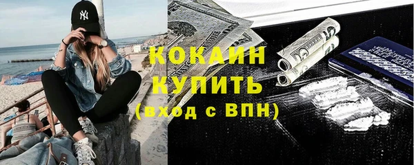 прущие грибы Тавда