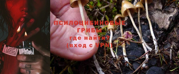 a pvp Володарск