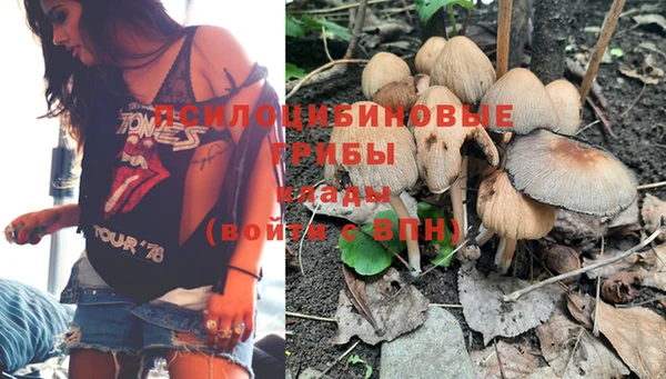 a pvp Володарск