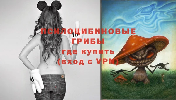 a pvp Володарск
